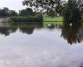 Bild: bkr
Im Stausee fühlen sich nicht nur Schwäne wohl. Biber haben im angrenzenden Biotop Einzug gehalten.
