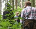 Bild: Gabi Schönberger
Stadtförster Wolfgang Winter (Mitte) zeigt den Teilnehmern der Waldbegehung im Forstgebiet "Hinterer Eichrangen" auf dem Fischerberg unter anderem, wie Naturverjüngung funktioniert.