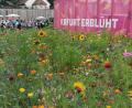 Bild: Portner
Die Bundesgartenschau in Erfurt ist auch jetzt im Herbst einen Besuch wert.