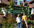 Bild: jr
Gertrud und Werner Teubner freuen sich über das prächtige Wachstum ihrer Sonnenblumen.