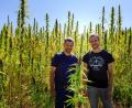 Bild: Hösamer
Markus Kneißl (rechts) und Marco Horsch stehen in einem Hanffeld nahe des Sitzenhofs bei Schwandorf. Beide setzen auf die uralte Kulturpflanze.