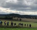 Bild: Linda Schmauß/exb
Zu den Kirchen der Pfarreiengemeinschaft Neustadt zog die Pilgergruppe.