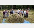 Bild: Luis Waldmüller/exb
Die Helfer von der Bund-Naturschutz-Kreisgruppe bei der jährlichen Pflegeaktion auf der Orchideenwiese bei Konnersreuth.