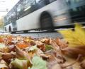 Symbolbild: Bodo Marks/dpa
Die dunkle Jahreszeit hat begonnen - der Herbst ist eingezogen. Buntes Laub und morgendlicher Nebel sind allerdings nicht nur schön anzusehen, sondern bergen auch Gefahren im Straßenverkehr.