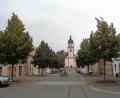 Bild: amö
Die Bäume am oberen Marktplatz wachsen über die Dachrinnenhöhe hinaus.