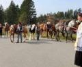 Bild: exb
Der Flossenbürger Pfarrer Georg Gierl segnete bei einer Andacht in Hildweinsreuth Pferde und ihre Reiter.