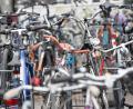 Symbolbild: Sebastian Gollnow/dpa
Dranbleiben will die Umweltschutzinitiative beim Um- und Ausbau des Radwegenetzes in Sulzbach-Rosenberg.