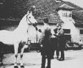 Bild: Sammlung Siegert
Der Krieg war offiziell noch nicht beendet als dieses Foto entstand: Dennoch sprechen( rechts) der deutsche Wehrmachtsoffizier Hubert Rudofsky und der US-Oberst Charles Reed die Rettung der Lipizzaner-Pferde ab. Das Foto stammt aus den Stallungen von Hostau (Hostoun).