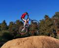 Bild: tkr
Im neuen Teunzer Dirtpark können sich die Mountainbiker austoben.