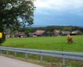 Bild: Hirsch
Der Wackersdorfer Ortsteil Meldau ist landwirtschaftlich geprägt. Jetzt soll dort ein neues Wohngebiet entstehen.