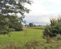 Bild: stg
Wo jetzt noch Wiese und Maisfeld sind, sollen bald ein Fitness-Parcours, ein Parkplatz und ein Kunstrasenspielfeld entstehen.