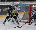 Bild: Fotograf Peter Kolb
Ein Spiel aus der Vorbereitung: Die Blue Devils Weiden gewannen beim DEL2-Verein Bayreuth Tigers mit 5:4.