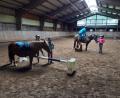 Bild: opp
Der Reitverein Tirschenreuth kann neben dem Voltigierunterricht, dem weiterführenden Unterricht und dem geführten Ponyreiten mit „Hippolini“ ein neues Angebot für die Nachwuchsförderung in allen Altersgruppen machen.