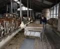 Bild: lue
In der modernen Landwirtschaft laufen viele Prozesse über die Digitalisierung, auch auf dem Hof von Daniel Miedl in Haid bei Pullenreuth. Dafür braucht es das Internet. Ein automatisierter Futterroboter hilft etwa bei der Portionierung von Heu. Gibt es eine Störung, wird diese an den Landwirt weitergeleitet.
