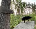 Bild: Eichl
Die Neugestaltung des "Weges des Granits", der erste von mehreren Themenwegen, ist angelaufen. Nur wird in einem Ideenwettbewerb ein Maskottchen gesucht.