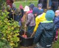 Bild: Kindertagesstätte Kemnath/exb
Mit Schaufeln, Spaten und Rechen pflanzte die Tigergruppe vom Kindergarten Li-La-Löhle Himbeerstauden.