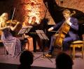 Bild: rha
Kammermusik vom Feinsten bietet das Trio Tempera mit (von links) Anna Godelmann, Cornelia Glassl mit Umblätterin Olivia Geiser und Christoph Pickelmann.