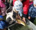 Bild: Julia Luber/exb 
Die Kinder des St.-Martin-Kindergartens in Pfreimd halfen beim Abfischen des Dorfweihers in Rappenberg.