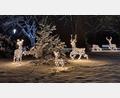 Archivbild: bjp
Das Adventspark-Konzept ist neu, die schon im Vorjahr aufgestellte "Rentierfamilie" wird aber auch heuer den Dietl-Park schmücken. Für ihren Christkindlmarkt der anderen Art hoffen Stadtverwaltung und Planungsteam auf viele Fieranten.