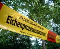 Bild: td
Mit Transparenten wird vom Eichenprozessionsspinner gewarnt. 2021 ist im Landkreis Schwandorf kein großer Befall bekannt, jedoch machte ein Ehepaar in Prackendorf eine schmerzhafte Erfahrung.