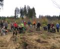 Bild: ubb
Etwa 20 Männer und Frauen zwischen 20 und 70 Jahren pflanzen im Steinwald bei Fuchsmühl 10.000 seltene Laubbäume wie Elsbeere, Speierling, Flatterulme oder Edelkastanie.