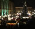 Bild: Wolfgang Steinbacher
Der Christbaum auf dem Amberger Marktplatz ist zentraler Mittelpunkt des Amberger Weihnachtsmarktes. Ab Montag, 8. November, wird heuer dafür eine Blaufichte angeliefert.