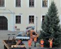 Bild: Wolfgang Steinbacher
Am Dienstagmorgen wurde der Weihnachtsbaum am Malteserplatz aufgestellt.