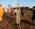 Bild: do
Die Anlage einer Streuobstwiese entlang der Neustädter Straße in Oberbibrach ist für die Gemeinde der Startschuss für weitere Pflanzaktionen zum Erhalt der Artenvielfalt. Letzte Hand legten Bürgermeister, Gemeinderäte, Bauhof und Philipp Glaab vom Naturpark an, um die 13 Obstbäumchen fachgerecht einzusetzen.