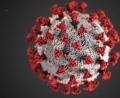 Bild: Centers for Disease Control and Prevention illustration
Sars-CoV-2 ist tödlicher als Influenza-Viren.