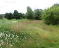 Bild: Land- und Golfclub Oberpfälzer Wald /exb
Gepflegte Greens und üppige Natur müssen sich nicht ausschließen. Die Anlage in Ödengrub wurde nun als "Blühender Golfplatz" ausgezeichnet.