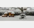 Archivbild: njn
Im Winter sind die Bienenstöcke schon mal eingeschneit, wie hier bei Imker Lothar Meier. Laut Imkervereinsvorsitzendem Klaus Schmidt macht den Bienen das kalte Wetter und der Schnee nichts aus.