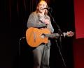 Bild: hka
Intelligentes Geplauder, bissiger Humor und Gitarrenmusik - damit unterhielt Christoph Weiherer sein Publikum im Seidel-Saal.