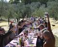 Bild:  La Vialla/exb
Das große Fest im Olivenhain: Nach ein paar Stunden Arbeitseinsatz versammeln sich die Erntehelfer an einer langen Tafel. Dort werden sie mit italienischen Köstlichkeiten verwöhnt.
