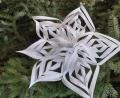 Bild: hka
Ein filigraner Stern aus Papier wird zum dekorativen Advents- und Weihnachtsschmuck.