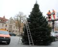 Bild: Christine Hollederer/exb
Zwei Mitarbeiter des Bauhofs haben den Weihnachtsbaum im Innenhof mit Lichterketten geschmückt. Bis vor kurzem stand der Baum noch in Köfering.