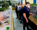 Bild: do
Züchter und Besucher staunen bei einem Rundgang durch die Lokalschau im Tremmersdorfer Kleintierzüchterheim über die vielen Zuchterfolge.