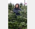 Bild: Daniel Karmann/dpa
Michaela Kaniber (CSU), Landwirtschaftsministerin von Bayern, steht bei der Christbaumkultur Gerner im Rahmen der Eröffnung der bayerischen Christbaumsaison neben Nordmanntannen.