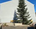 Bild: Wilhelm Amann
Der Christbaum steht. Zwei Buden wird es in seinem Umfeld aber nicht geben.