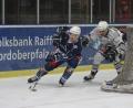 Archivbild: gb
Die Blue Devils gewannen am Freitag das Oberpfalzderby bei den Eisbären Regensburg mit 6:3. Dennis Palka (links) erzielte drei Treffer.