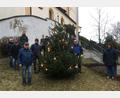 Bild:  Maria Schlögl/exb
Der Christbaum am Treppenaufgang von St. Emmeram leuchtet seit dem ersten Adventsonntag – und das hoffentlich weiterhin unbeschadet.