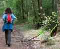 Symbolbild: Gerhard Goetz
Entspannung und Naturerlebnis: Immer mehr Leute sind auf Wanderwegen unterwegs und wünschen sich diese gut ausgeschildert. Der Landkreis Amberg-Sulzbach will nun ein Projekt zur einheitlichen Beschilderung des Wanderwegenetzes zur Leaderförderung einreichen.