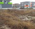 Bild: e
Ein Gemeinschaftsgarten als generationenverbindende Maßnahme: Wo es derzeit noch ziemlich ungeordnet aussieht, könnte in Kümmersbruck mittelfristig eine solche Einrichtung entstehen. Die Lage neben Wohnanlage Herbstwiesen, Arbeiterwohlfahrt, Kindergarten und Schulen bietet sich dafür an.