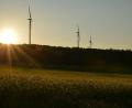 Bild: Petra Hartl
Windräder bei Wolfsfeld (Landkreis Amberg-Sulzbach). Derzeit stimmen die Parksteiner ab, ob drei Anlagen im Westen des Basaltkegels errichtet werden können.