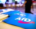Bild: Daniel Karmann
Auch die Oberpfälzer AfD-Landtagsabgeordneten waren Teil der Chatgruppe – haben sich nach eigenen Angaben nicht näher mit den Inhalten befasst.