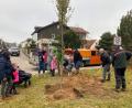 Bild: Maria Schuierer/exb 
OB Andreas Feller (Zweiter von rechts) und Forstoberinspektor Thomas Hebauer (rechts) pflanzen gemeinsam mit den Kindern, Eltern und Großeltern den Jubiläumsbaum.