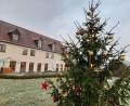 Bild: bl
Vor dem Altenheim Pfreimd steht der Weihnachtsbaum, den der OWV spendiert hat.