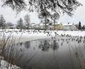 Bild: Petra Hartl
Noch liegt der Schnee auf und neben dem Stadtweiher von Auerbach. Das könnte sich in den nächsten Tagen ändern.