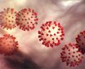 Bild:  Center for Disease Control/Planet Pix via ZUMA Wire/dpa
Der Leiter der Notaufnahme im Amberger Klinikum erklärte, dass wegen Corona die Lage derzeit angespannt sei.