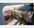 Bild: Hendrik Schmidt/dpa
Bücher der Fantasy-Romanreihe Harry Potter sind nach wie vor beliebt bei den Fans.