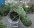 Symbolbild: Petra Hartl
Der Bund Naturschutz appelliert an die Verbraucher, beim Christbaum-Kauf regionale Bio-Produkte zu wählen. Er wünscht sich außerdem mehr Anbieter.